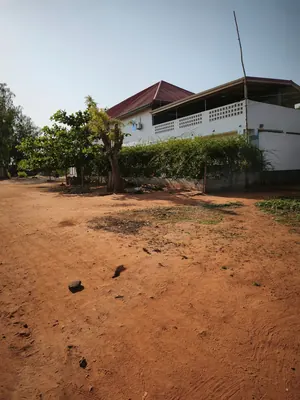 Vente d'un terrain à Sanguéra (ancien péage), demi-lot, proche du goudron – 7 millions FCFA — photo 2