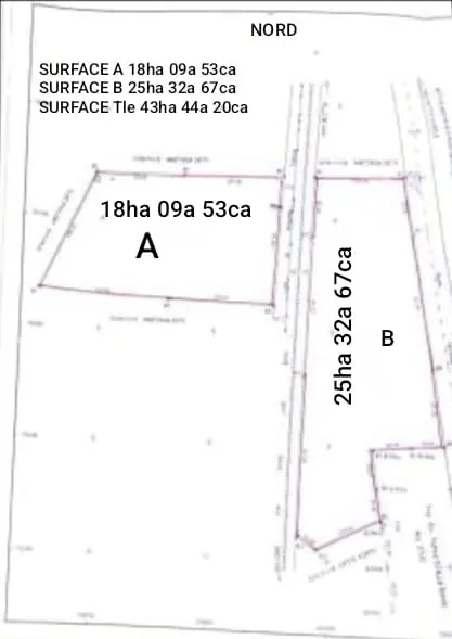 Vente d'hectares à Notsè Kpèlè, 43 hectares, bord du goudron RN1 et ouverture sur l'emprise des rails – 25 millions FCFA l'hectare