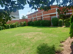 Location d'une villa au quartier Forever, 4 chambres, avec jardin et paillote – 500 000 FCFA/mois — photo 3