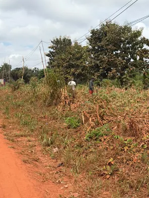 Vente de terrain à Noépé, 2 lots en bordure de voie de 70m – 10 millions FCFA le lot — photo 5