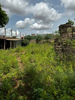 Terrain clôturé 1 lot (600 m²) avec titre foncier en vente à Agoè Fil'O PAC – 57 000 000 FCFA — photo 4