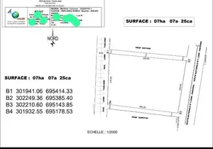 Terrain 7 hectares en vente au bord de la nationale No1 à Togblé Tsikplonoukondji – 70 millions FCFA l'hectare