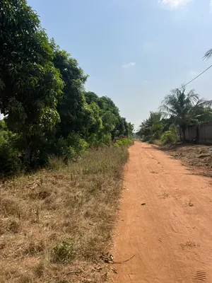 Terrain 10 lots à vendre à Sanguéra Aképédo Jérusalem – 15 millions FCFA à débattre — photo 2