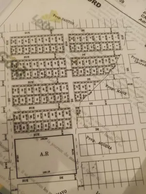 Terrain de 3 hectares en vente à Yopé Avedodja (Badja) – 6 700 000 FCFA / hectare