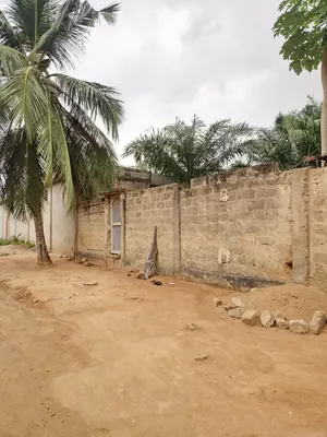 Terrain 300 m² en vente à Sanguéra Klemé – 13 millions FCFA — photo 5