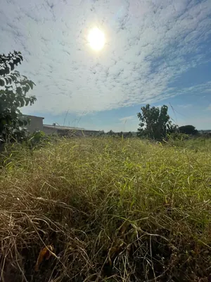 Terrain demi-lot à vendre à Akato Péage – 5 millions FCFA — photo 4