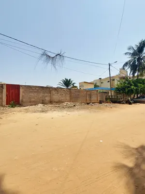 Terrain 1229 m² en vente en angle de rue à Agoè Adidoadin – 160 millions FCFA — photo 4