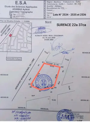 Terrain 3,75 lots en vente en bordure de goudron à Attiégou Est – 225 millions FCFA