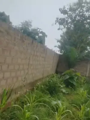 Terrain 1 lot en vente en angle de rue à Segbé – 25 millions FCFA — photo 4