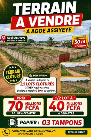 Terrain 1500 m² en vente à Agoè Assiyeyé – prix à partir de 40 millions FCFA le demi-lot