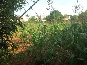 Terrain 3 lots en vente angle de rue à Cap Amadahomé – 40 millions FCFA — photo 2