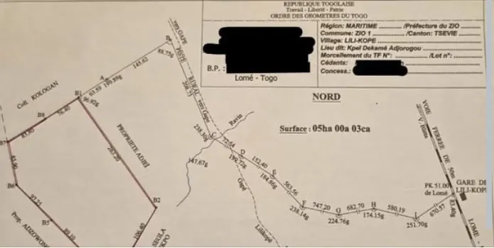 Vente d'un terrain agricole à Lilikopé, 5 hectares, proche du goudron (RN1), complant de bananiers, cocotiers, manguiers et palmiers – 17,5 millions FCFA