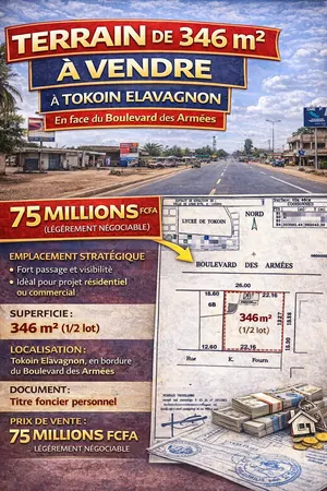 Terrain 346 m² à vendre à Tokoin Elavagno – 75 millions FCFA