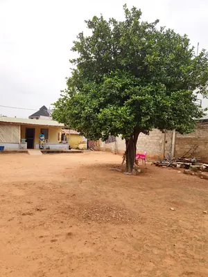 Terrain 1 lot avec bâtiment 2 pièces en vente à Avédji Adroukpapé – 70 000 000 FCFA — photo 2