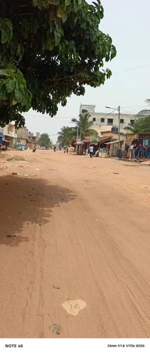 2 lots collés clôturés à vendre à Apédokoè Gbomamé – 50 millions FCFA par lot — photo 2