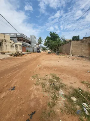 Vente d'un terrain à Avédji Léo 2000, demi-lot clôturé de 300 m², à 80 m du goudron – 25 millions FCFA — photo 2
