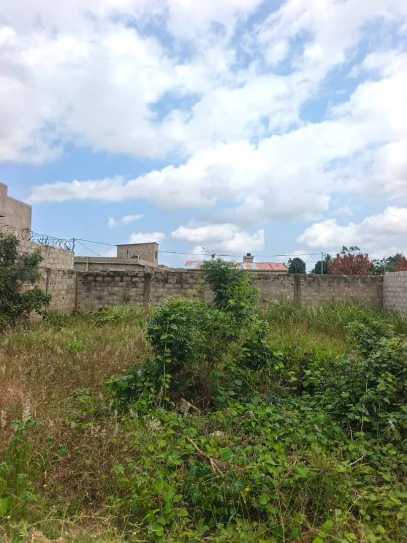 Terrain 1 lot à vendre à Segbé Akato-Viépé, angle de rue, à 150m du goudron – 20 millions FCFA