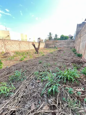 Vente d'un terrain à Nukafu Cerfer / China Mall, demi-lot clôturé – 50 millions FCFA