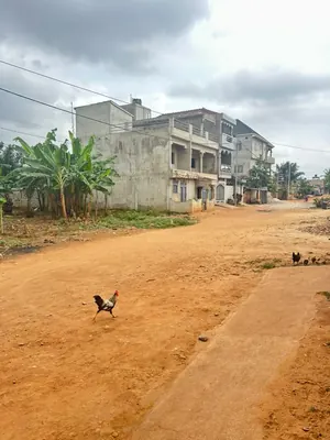 Terrain demi-lot en vente à Agoé Sogbossito – 15 millions FCFA — photo 8