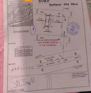 Terrain demi-lot à vendre à Kpogan Lambou – 15 millions FCFA
