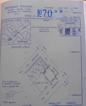 Terrain 1 lot en vente à l'angle de rue à Nanegbé – 33 millions FCFA