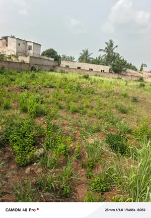 Terrain à vendre à Adidogomé, derrière la base EBOMAF face aux rails – 55 millions FCFA — photo 2