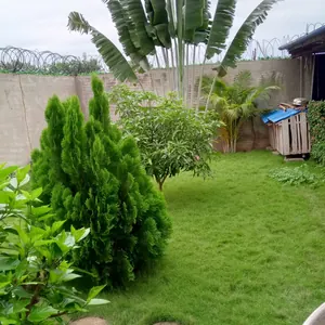 Villa 3 chambres sur demi-lot à vendre à Agoè Zongo Togblécope – 35 millions FCFA