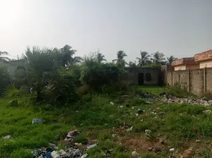 Terrain 1 lot de 600 m² à vendre à Agoè Zongo derrière le marché – 25 millions FCFA — photo 3