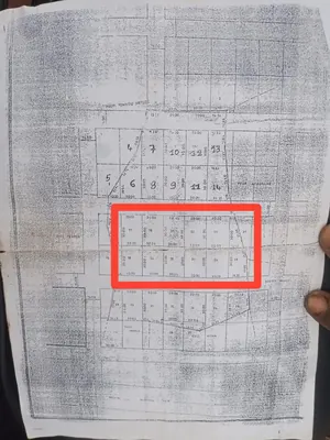 Terrain 11 lots collés en vente à Kpala Adidomé – 82,5 millions FCFA — photo 2
