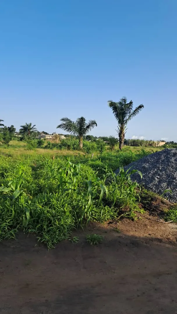 Terrain 20 lots en vente à Adétikopé Kpotavé – 13 millions FCFA