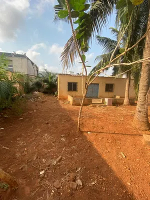 Vente de terrain à Kégué Stade, 2 lots, proche du goudron – 110 millions FCFA — photo 3