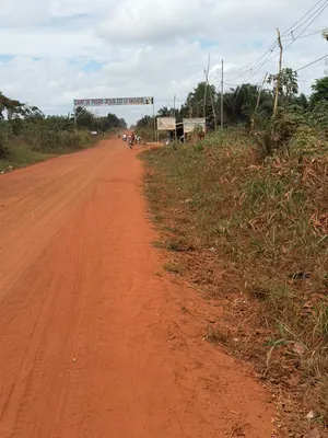 Vente de terrain à Noépé, 2 lots en bordure de voie de 70m – 10 millions FCFA le lot — photo 7