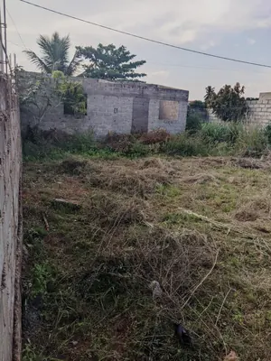 Terrain ¼ lot en angle de rue à vendre à Ségbé Démé – 5 millions FCFA — photo 5