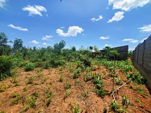 Vente d'un terrain à Kpala Dzigbe, demi-lot, 336 m² – 5 millions FCFA à débattre — photo 3