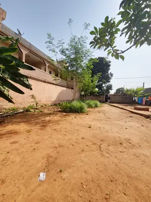 Terrain 600 m² avec construction en vente à Sogbossito Somayaf – 38 millions FCFA — photo 4