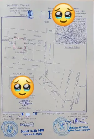 Terrain de moins d'un lot en vente à Sanguera Klikamé – 23 millions FCFA — photo 3