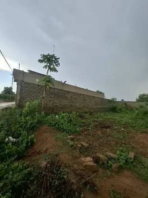 Terrain demi-lot de 300 m² en vente à Aképé Péage sur la déviation – 6,5 millions FCFA — photo 2