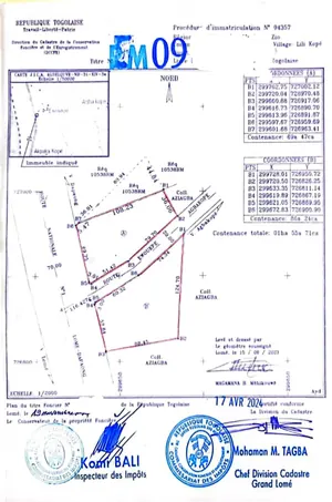 Terrain de 2 hectares en vente en bordure de goudron à Lilikopé – 6 millions FCFA le lot