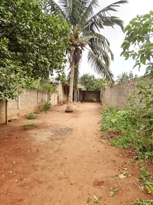 Terrain avec bâti de 236 m² en vente à 100 mètres du goudron à Legbassito Zovadjin – 13 millions FCFA — photo 2