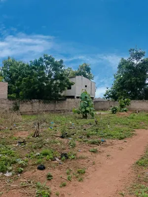 Terrain demi-lot de 600 m² en vente à Aképédo, à 60 mètres du goudron Lomé–Kpalimé – 9 000 000 FCFA — photo 3