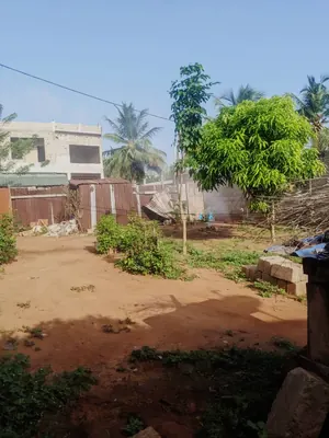 Terrain en vente à Logoter, Lomé – 3 000 000 FCFA