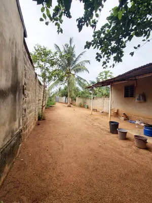Terrain avec bâti de 236 m² en vente à 100 mètres du goudron à Legbassito Zovadjin – 13 millions FCFA — photo 4