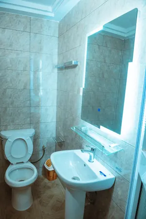 Vente d'une villa duplex meublée à Agodéké, 12 chambres, 600 m², titre foncier personnel – 250 millions FCFA — photo 12