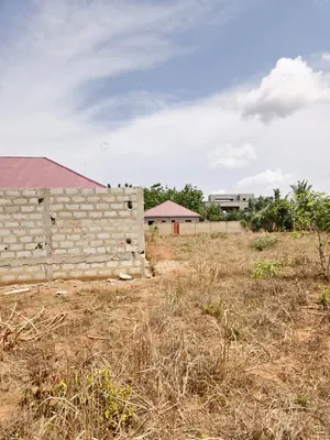 Terrain 2 lots (1200 m²) en vente à Mission-Tové Moekopé – 7 500 000 FCFA le lot — photo 4