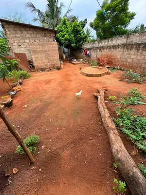 Terrain 2 pièces 159 m² en vente à Atilamonou – 7,5 millions FCFA — photo 3