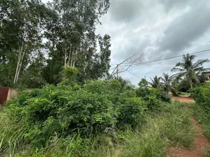 Terrain 2 lots de 1200 m² en vente au bord de la voie Légbassito-Tové à Apessito – 25 millions FCFA le lot — photo 2