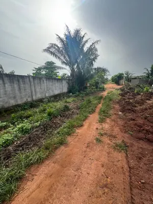 Terrain 600 m² en vente à Aképédo Zanguera – 9 millions FCFA — photo 2