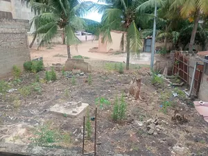 Terrain de 150 m² en vente à Totsi Gbinkome – 15 millions FCFA — photo 5