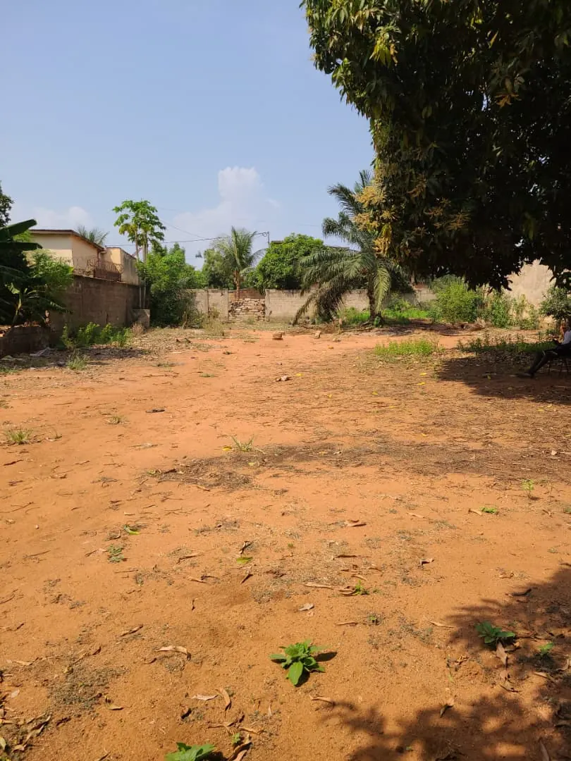 Terrain à vendre au bord de la grande route à Agoè Logopé Kossigan – 65 millions FCFA