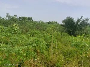 Terrain demi-lot en vente à Atoukpancopé route d'Aveta – 3,5 millions FCFA — photo 3
